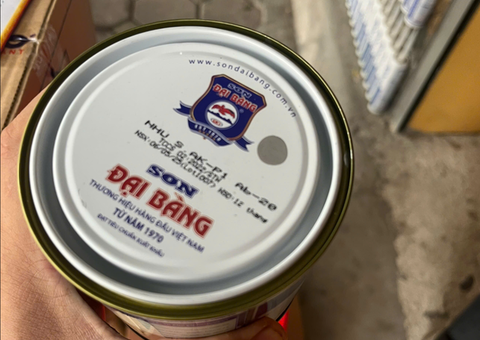 Sơn Đại Bàng Chính Hãng – Giá Sỉ Toàn Quốc - 3/4